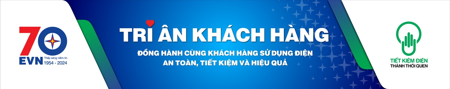 Vietnam Electricity Group (EVN): Acompañando a los clientes a utilizar la electricidad de forma segura, económica y eficaz 1