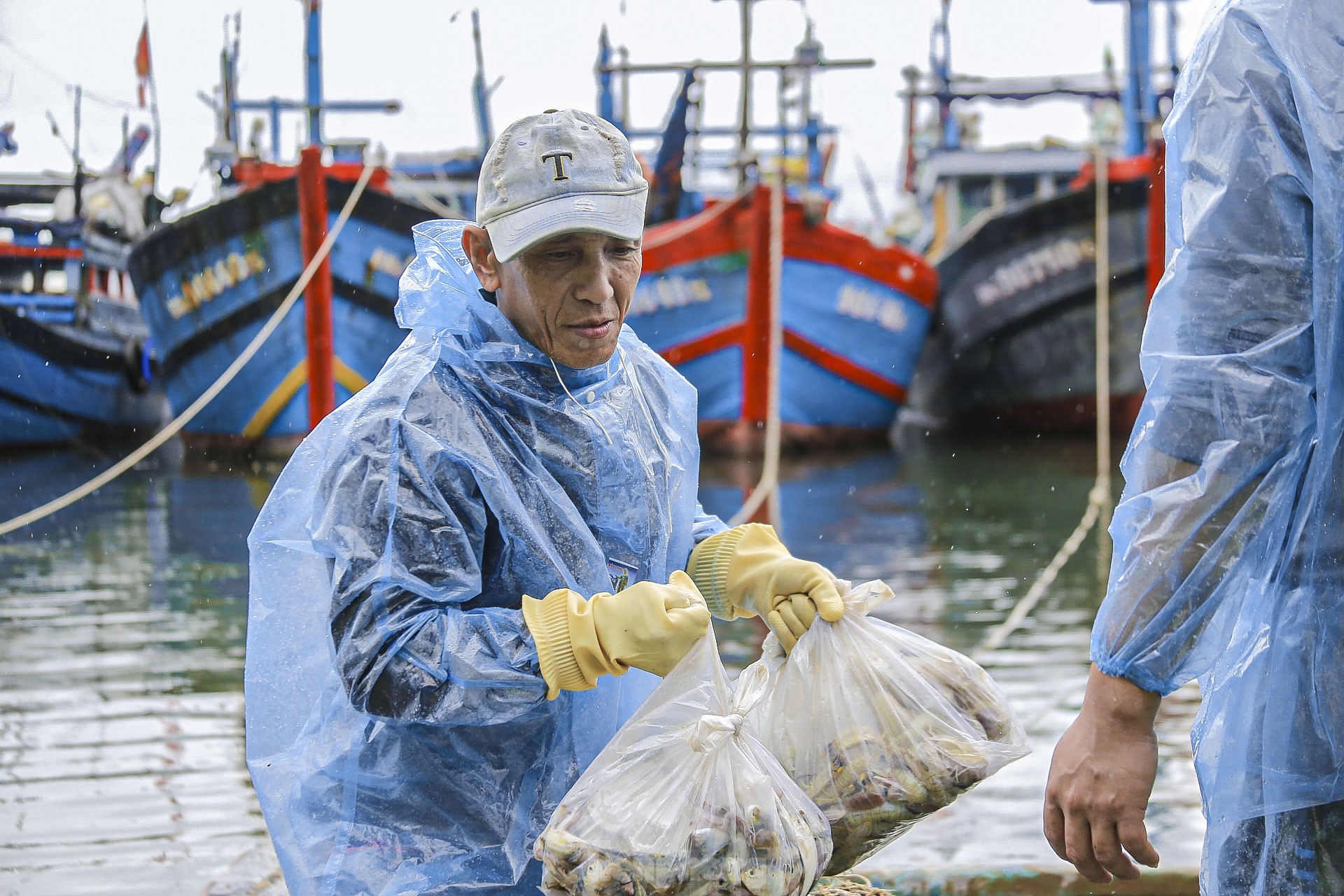 Los pescadores de Da Nang pescan cerca de la costa y ganan millones tras la tormenta (foto 6)