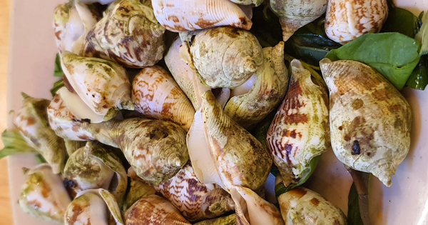 Grilled jumping snails