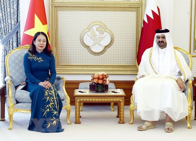 Thúc đẩy hơn nữa quan hệ Việt Nam - Qatar - Ảnh 1.