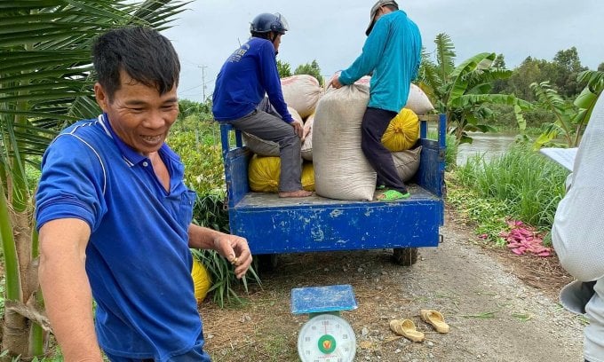 Nông dân Nguyễn Văn Vương ở Đồng Tháp vui mừng vì vụ lúa trúng mùa, trúng giá. Ảnh: Ngọc Tài