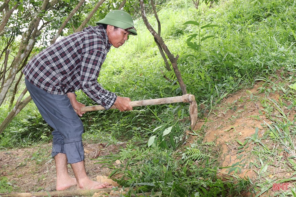 Farmer Vu Quang digs pond to store water to prevent drought for oranges