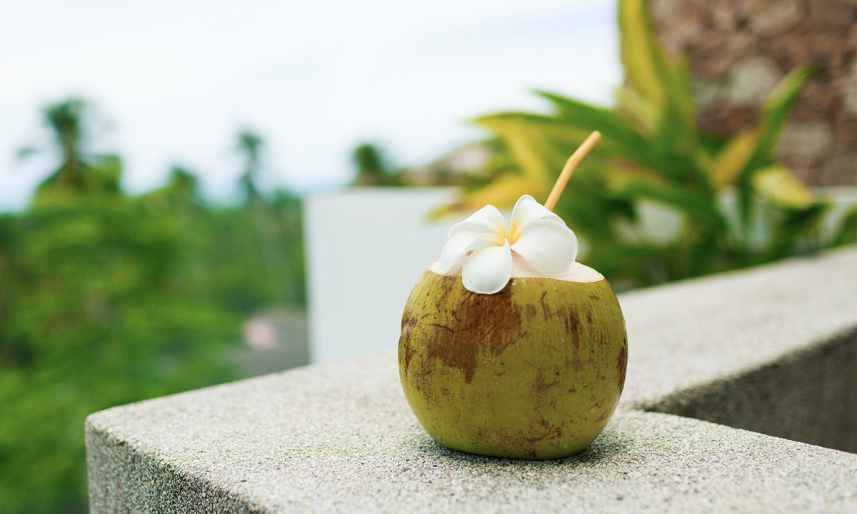 ¿Beber agua de coco ayuda a perder peso?