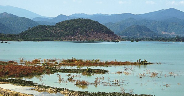 This is the newest artificial freshwater lake in Binh Thuan province, the scenery is as beautiful as in the movies.