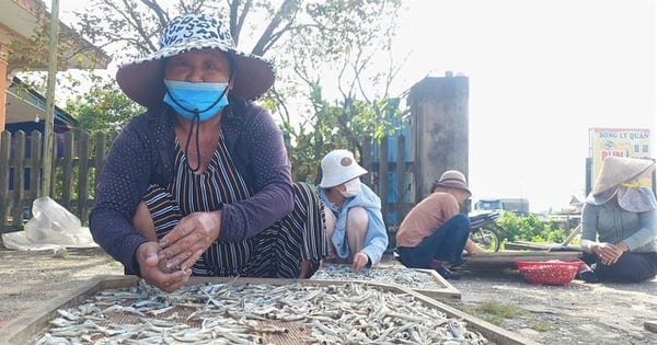 Seltsame Geschichte in Quang Tri: Warum muss dieses ganze Fischerdorf Hunderte von Kilometern den Berg hinauf „laufen“, nur um Fisch zu trocknen?