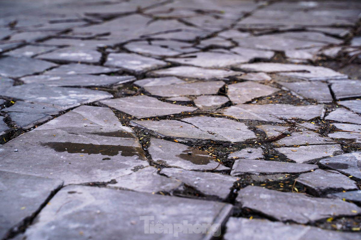 Many sidewalks in the center of the capital are 'ruined' and degraded photo 9