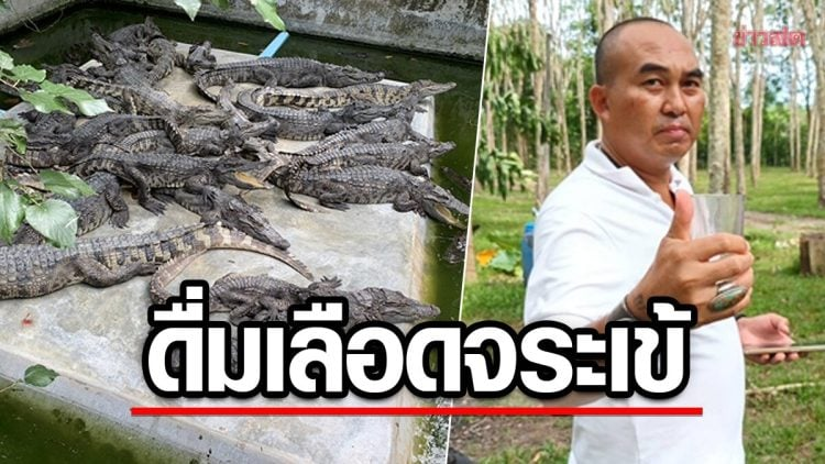 タイの実業家、健康のためにワニの血を飲んで物議を醸す