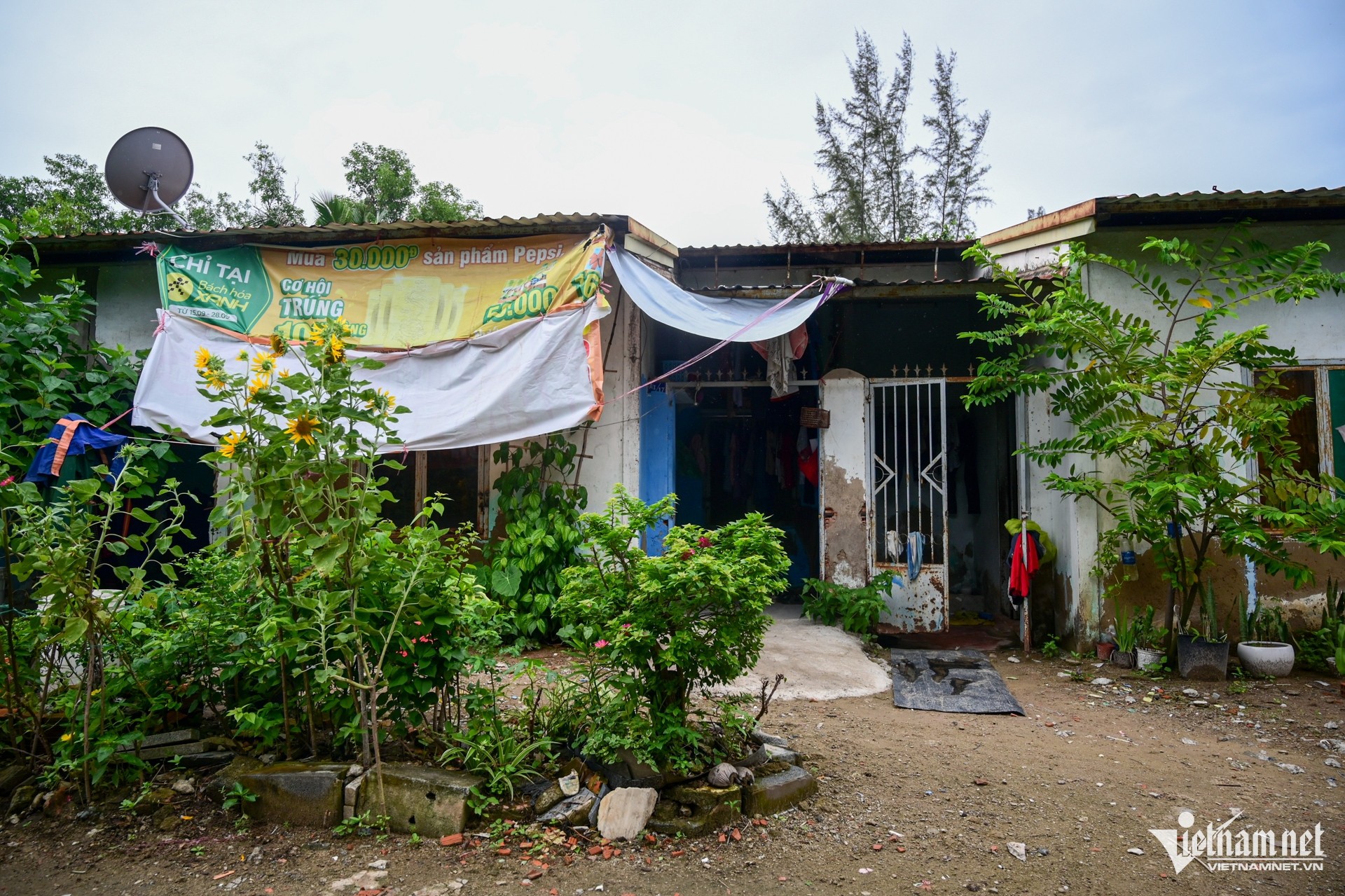 Un marais de 128 ha à Ho Chi Minh-Ville avant de devenir un parc de 6 400 milliards de VND photo 9