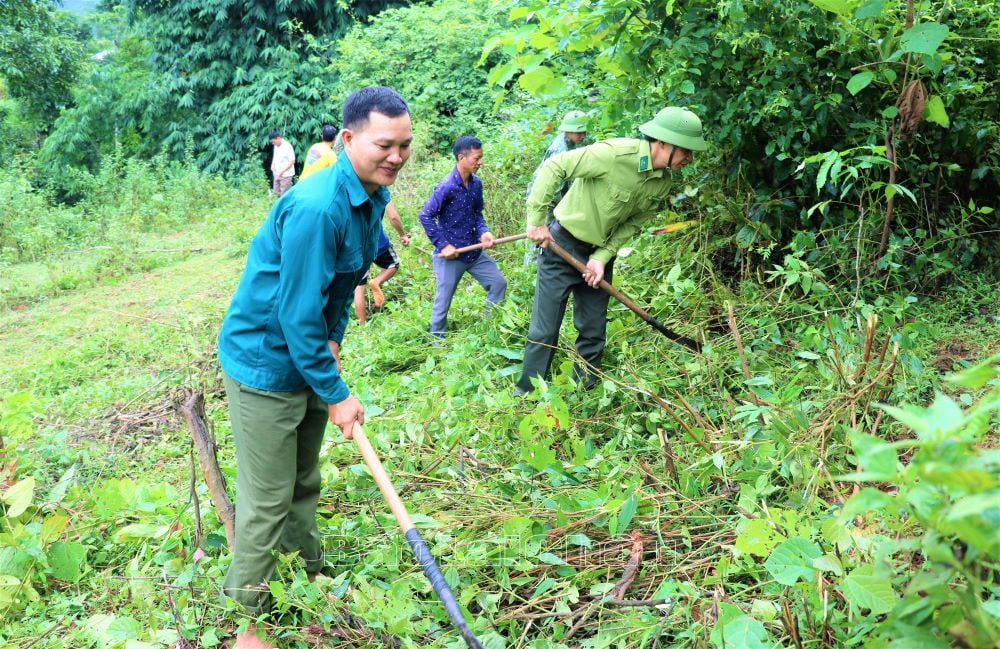 Quyết tâm bảo vệ rừng