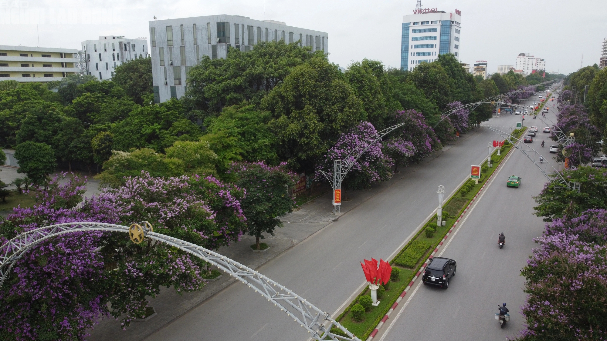 Bằng lăng nở tím trời, giới trẻ xứ Thanh đổ xô đi check-in- Ảnh 14.