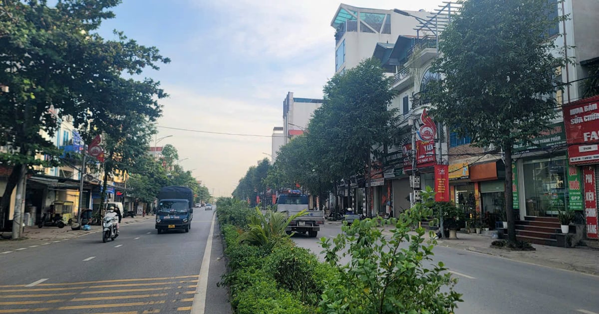 Realización paso a paso del área urbana ecológica de Hanoi Capital