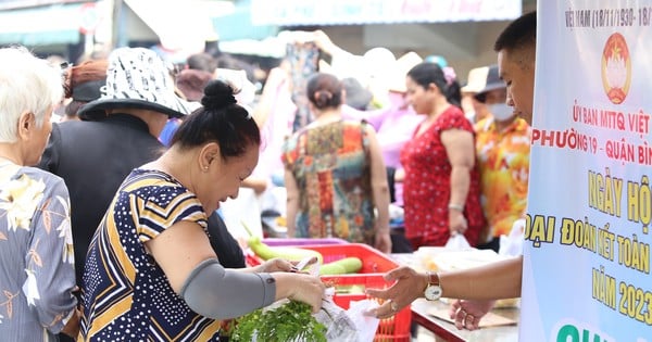 Nach der Vereinbarung gibt es in Ho-Chi-Minh-Stadt 4.861 neu gegründete Stadtteile und Weiler.