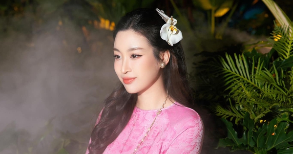 Miss Do My Linh wears a beautiful ao dai to welcome Lunar New Year 2024