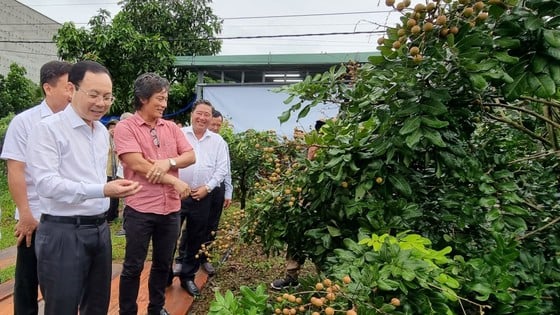 Secretario del Comité del Partido de la ciudad de Can Tho: Las cooperativas deben prestar atención a la calidad del producto asociada con la construcción de la marca. Foto 1