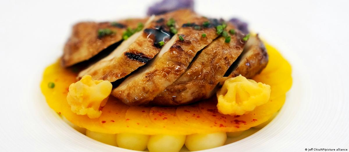 Mon vous permet de vendre des poulets élevés en laboratoire image 1