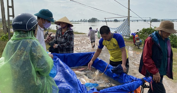 Dọc sông Đuống ở Bắc Ninh, dân rủ nhau ra bắt cá, có nhà bắt được cả tạ, toàn cá to