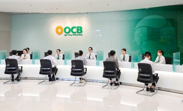 Moody's boosts OCB's growth to a new high of 2