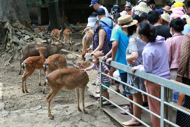 Ho-Chi-Minh-Stadt-Vorsitzender Phan Van Mai: „Es ist unmöglich, dass der Zoo und Botanische Garten von Saigon geschlossen wird“ Foto 2
