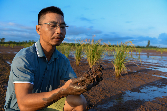 Anh Giang đang kiểm tra rươi. Ảnh: Dương Đình Tường.