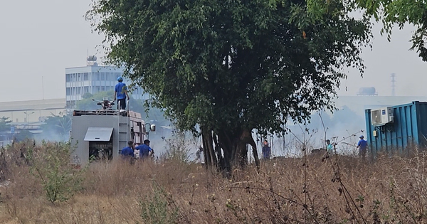 Deux cas d'herbes et de déchets brûlés par la chaleur, provoquant la panique à Tan Phu