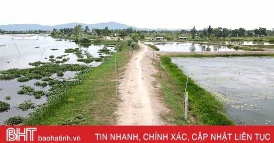 Đê bao xuống cấp, người nuôi trồng thủy sản Thạch Hà bất an mùa mưa lũ