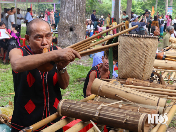 NTO - Lễ đón bằng của UNESCO và Lễ hội Nho