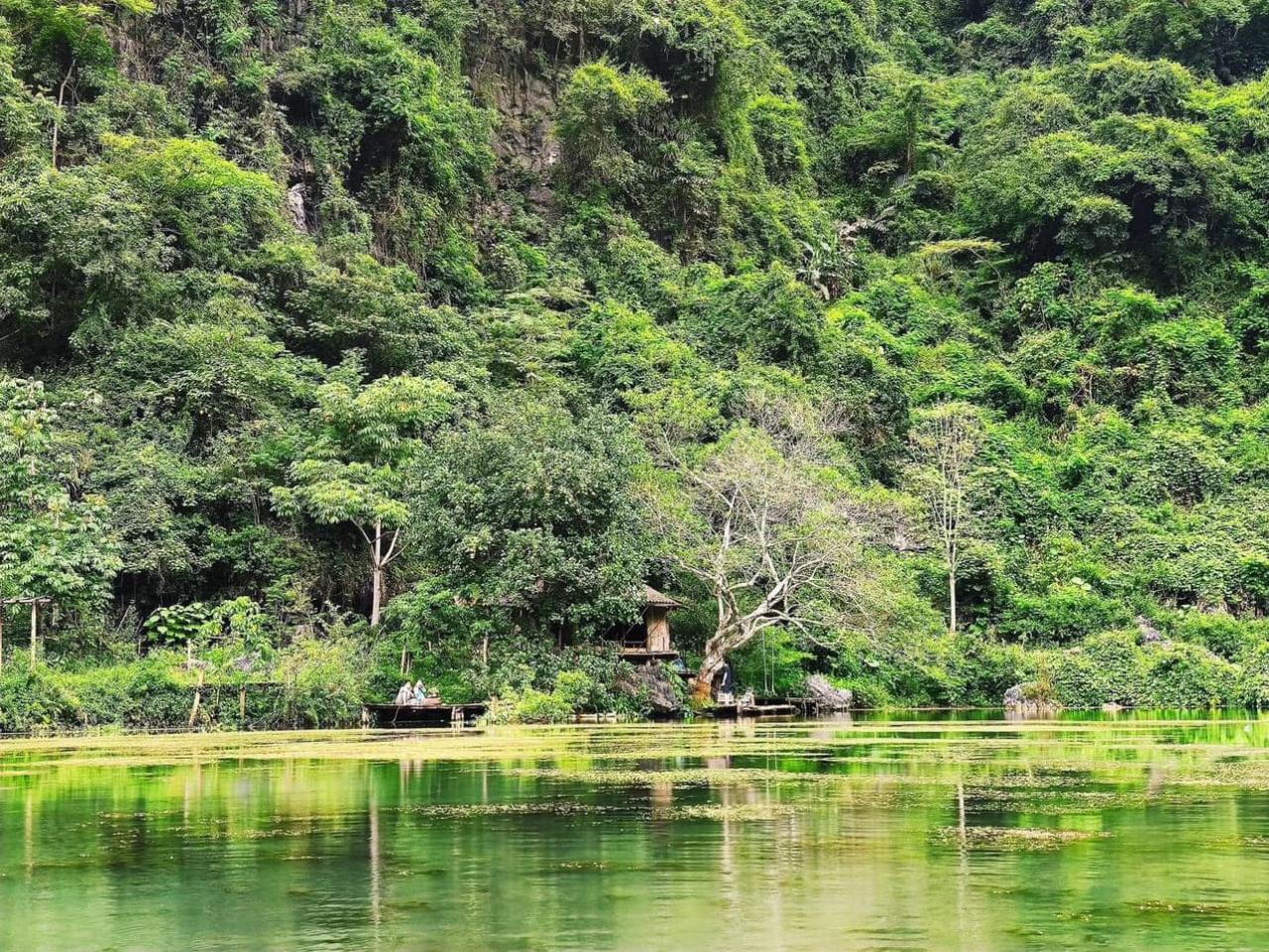 Dong Lam Grassland