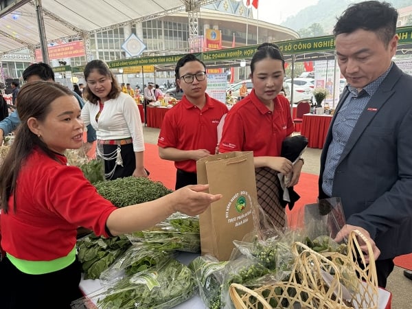 Conectando los productos agrícolas de Ca Mau y Hoa Binh con los canales de distribución