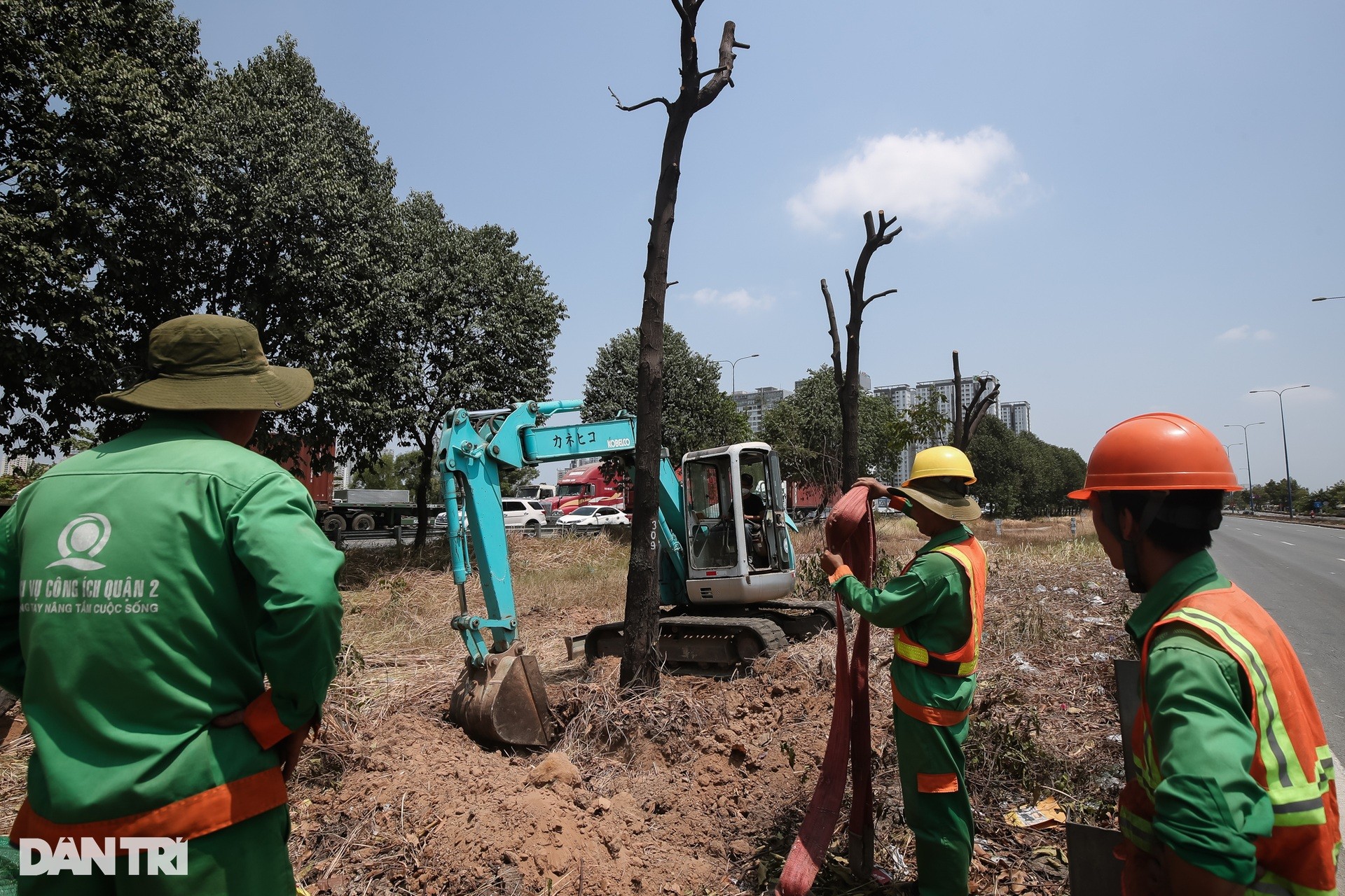 Des centaines d'arbres ont été déplacés pour construire la plus grande intersection de Ho Chi Minh-Ville, photo 3