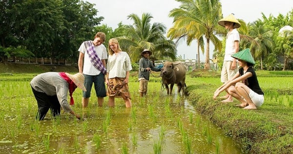 Giải pháp bền vững cho phát triển kinh tế và bảo vệ môi trường