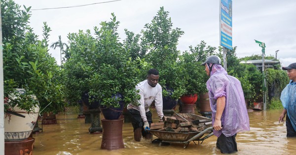 Жители «столицы» кумквата Ту Лиен идут по воде, чтобы спасти деревья