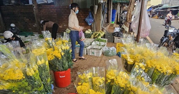 Full moon of July: Forecast of abundant chrysanthemums, many kinds of fruits may be in shortage