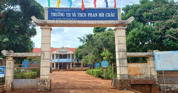 Giáo viên được vận động "tự nguyện" xin nghỉ việc