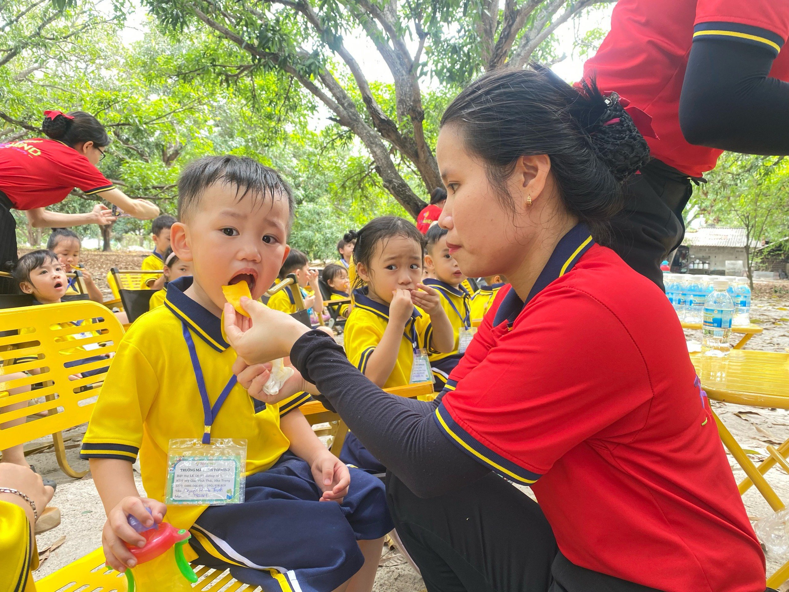 Một vùng đất của tỉnh Khánh Hòa có những cây xoài cổ thụ, du khách kéo đến check in, nông dân chỉ việc thu tiền- Ảnh 5.