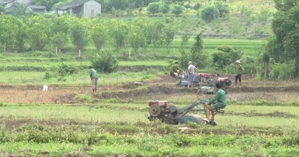 Thực hiện đầy đủ chính sách, đưa đồng bào dân tộc thiểu số phát triển