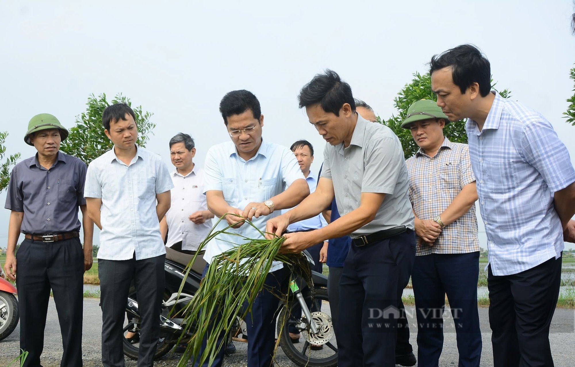 Nam Định tái thiết, khôi phục sản xuất nông nghiệp sau mưa lũ lịch sử - Ảnh 1.