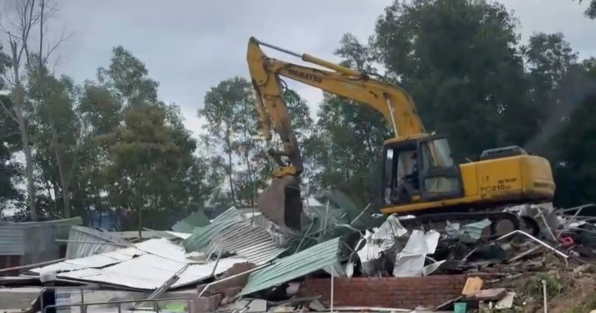 Phu Quoc: Enforced eviction of tens of thousands of square meters of land encroaching on national forest