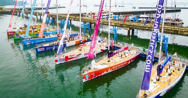 11 sailing teams cross the ocean to Ha Long