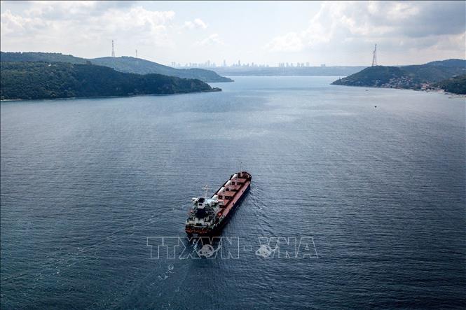 Un barco que transporta grano ucraniano pasa por el estrecho del Bósforo en Estambul, Turquía, el 3 de agosto de 2022.
