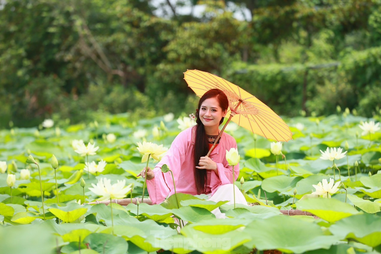 Des jeunes portant l'Ao Dai prennent des photos à côté de fleurs de lotus blanches, photo 10