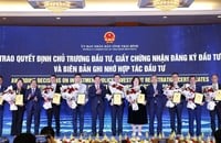 Viele Vorzugspolitiken ziehen Investitionen in Thai Binh an