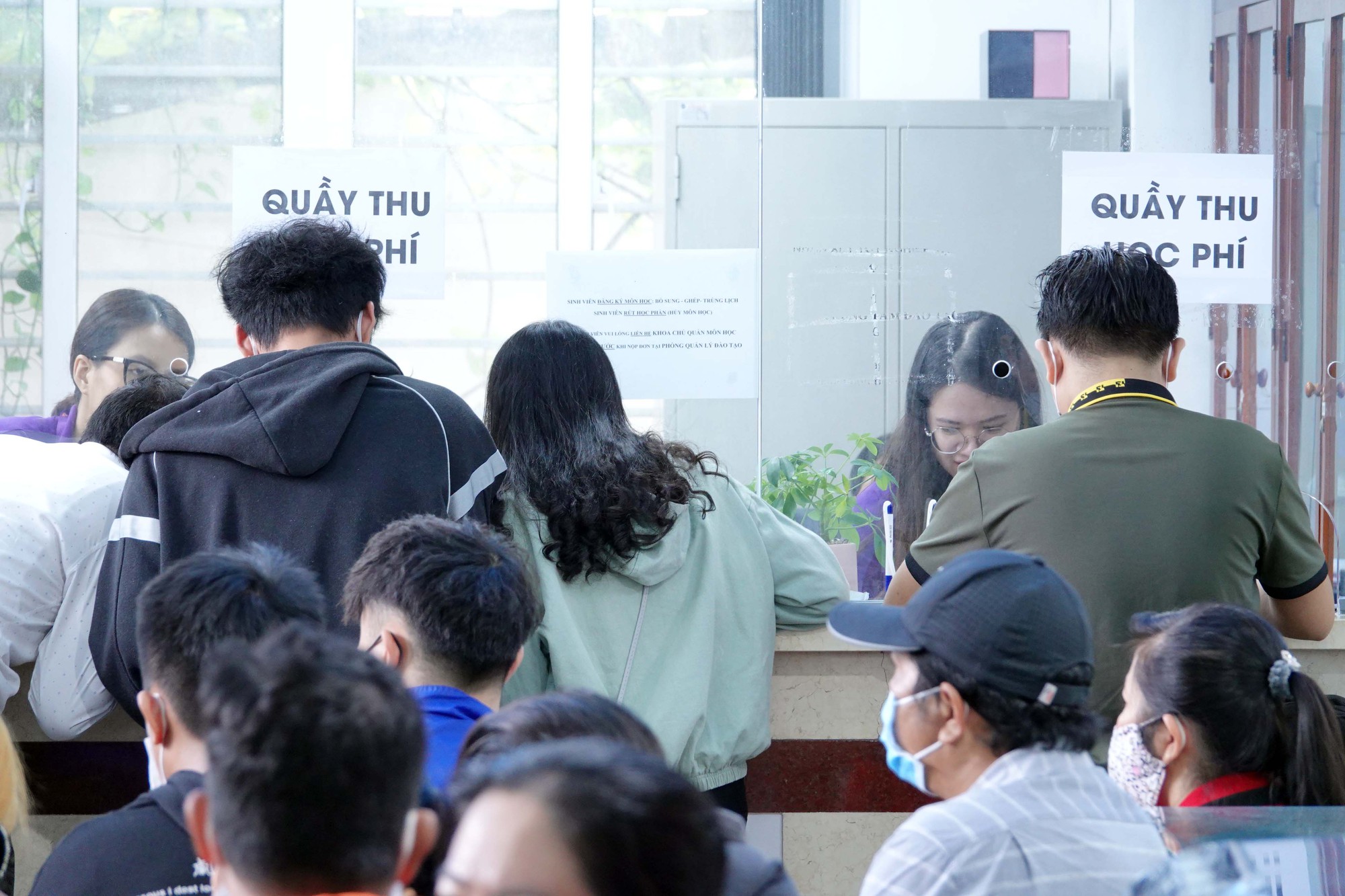 Rối với tên gọi chương trình đào tạo đại học
 - Ảnh 3.