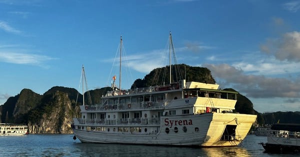 Quang Ninh bekräftigt, dass es in der Ha Long Bucht keine „Flussblockaden und Marktverbote“ gibt