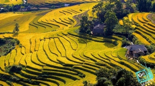 Admire the masterpiece of terraced fields in Lai Chau