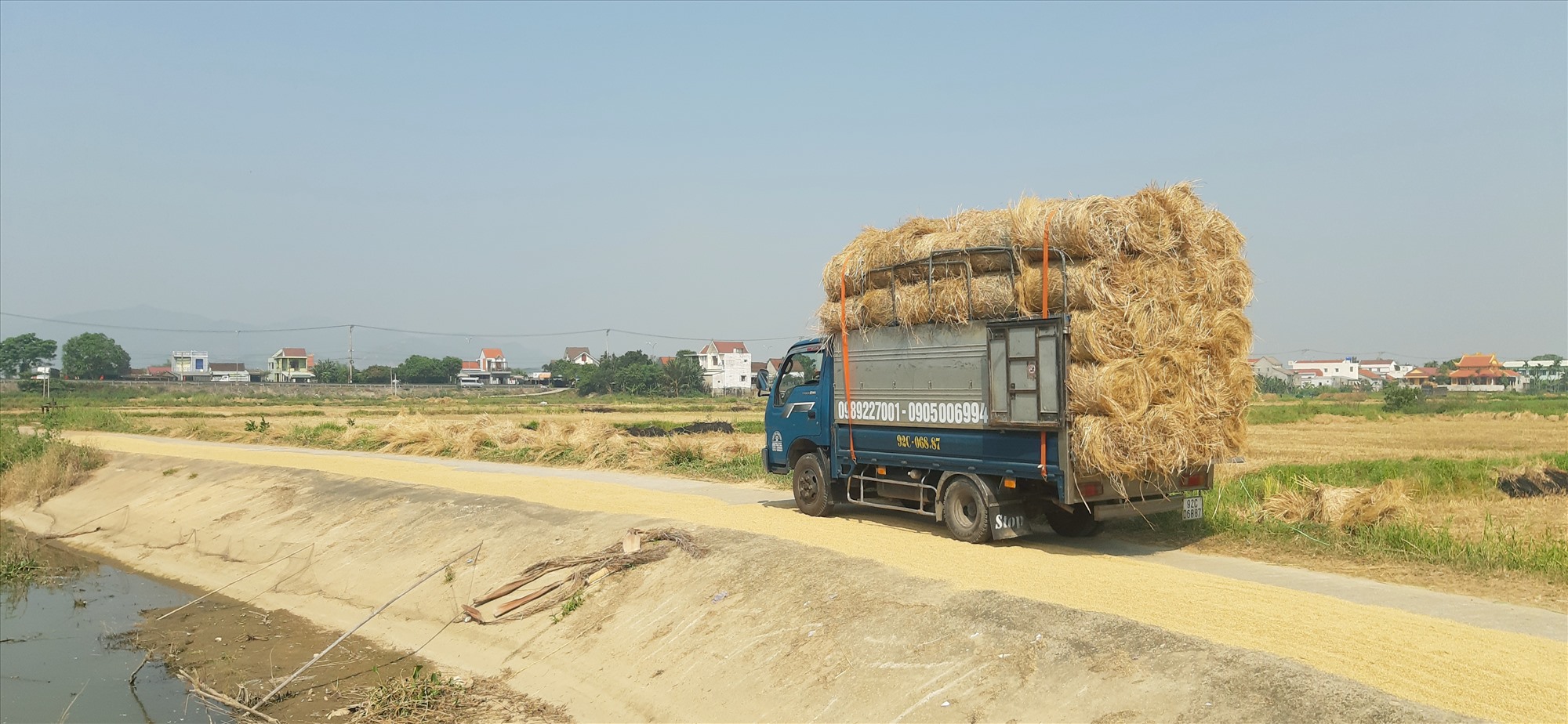 Transporte de paja para consumo. Foto: N.S.