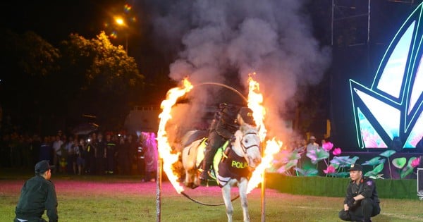 Crowds of people watch cavalry perform hurdles and charge through rings of fire.