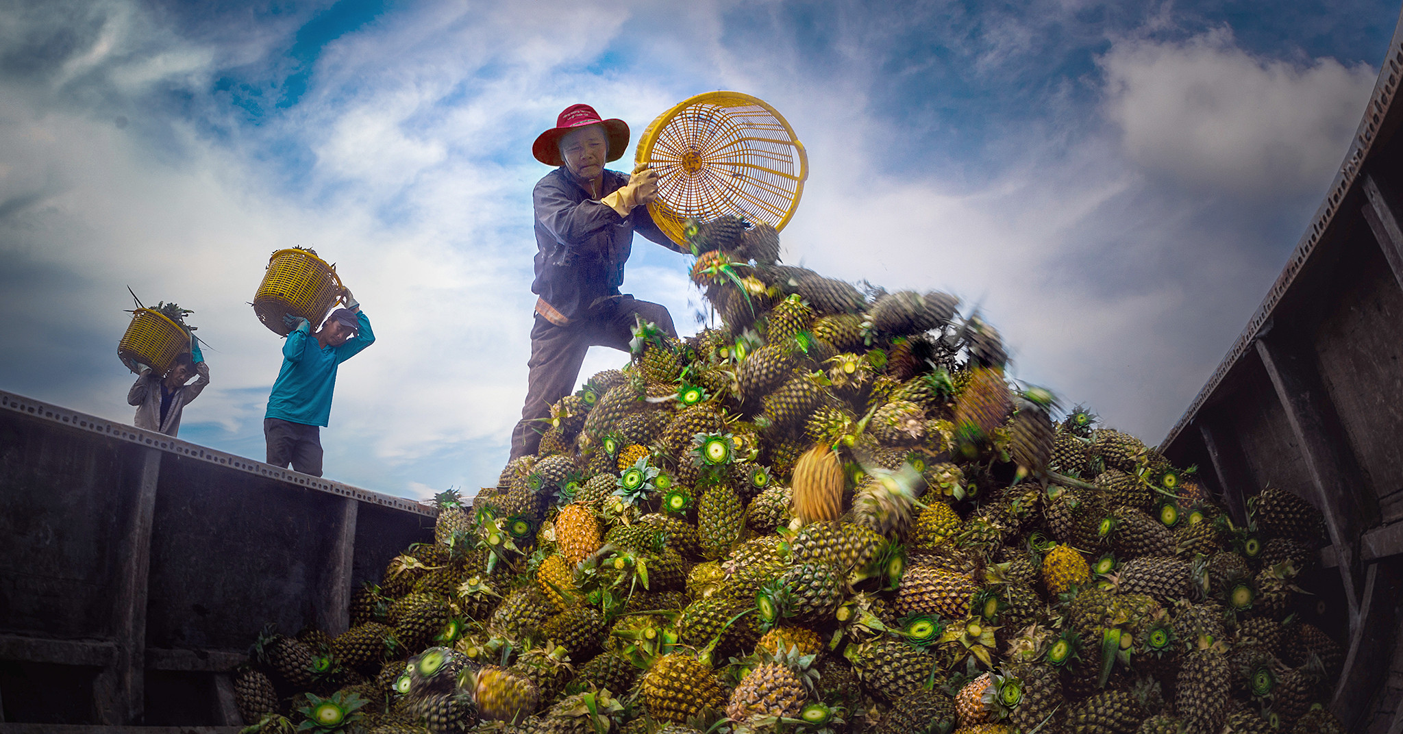 A series of agricultural products entered the price increase race, millions of farming households won big