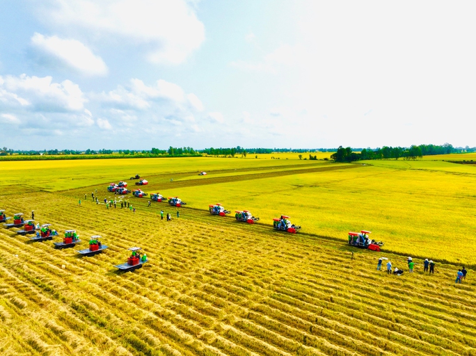 Đồng Tháp công bố dự án chuyển đổi chuỗi giá trị lúa gạo - Ảnh 1.