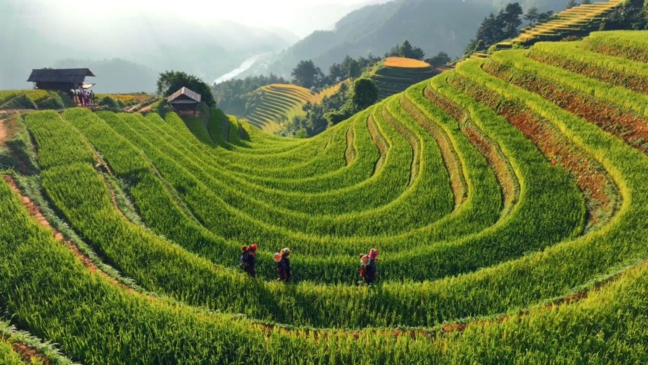 Mu Cang Chai – Mu Cang Chai – Stairways to Heaven