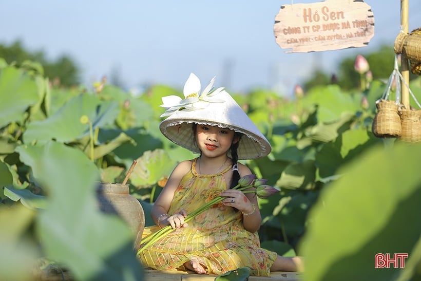 Admire the medicinal lotus pond of Ha Tinh Oriental Medicine Factory